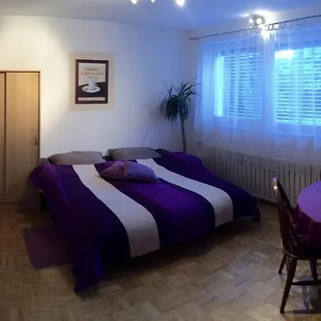 Apartment Pohorje Maribor
